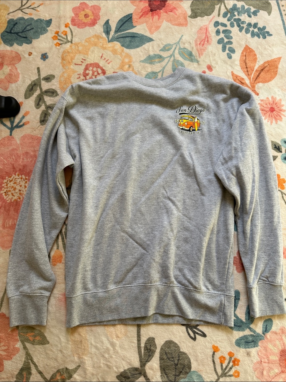 Graphic Light Gray Women’s or Men’s Sweatshirt - Vintage Van Print